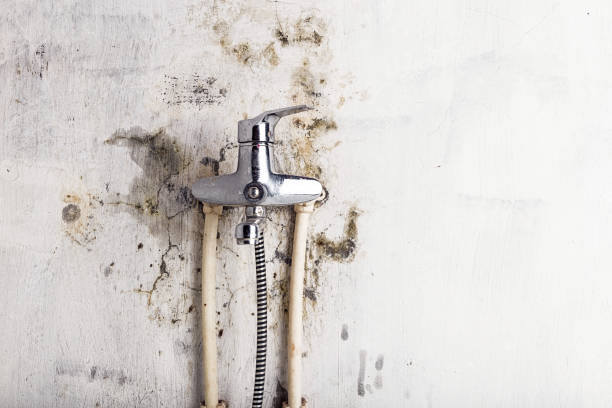 Best Residential Mold Remediation in Travis Ranch, TX