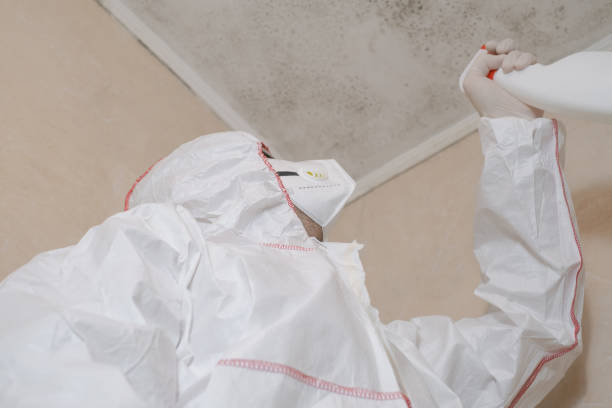 Best Bathroom Mold Remediation in Travis Ranch, TX